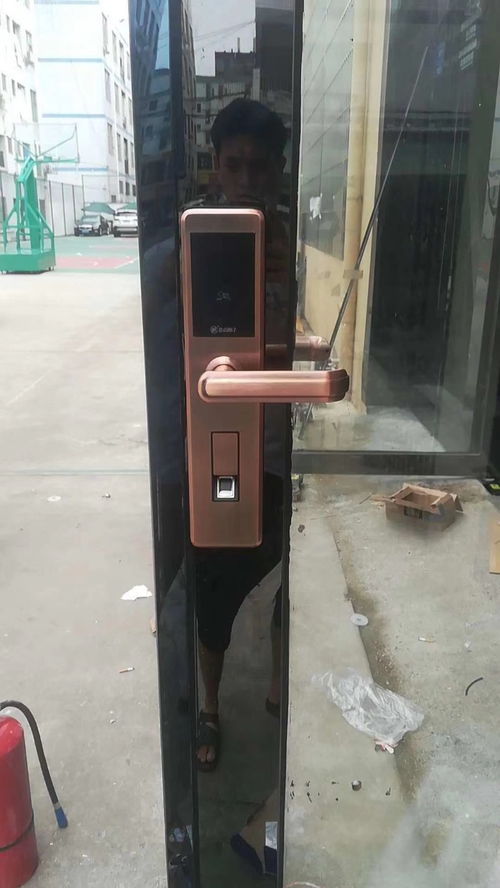 坪山安装指纹锁与安防工程服务详解